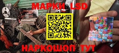 гидропоника Пенза