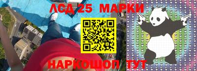 гидропоника Пенза