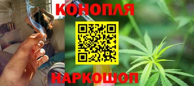 гидропоника Пенза