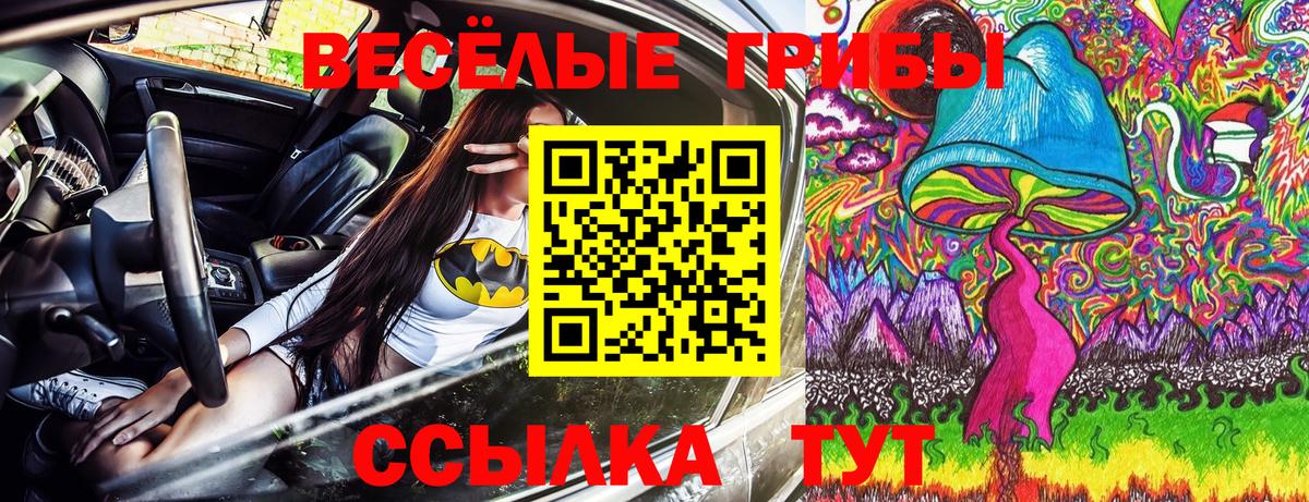 Псилоцибиновые грибы MAGIC MUSHROOMS Сарапул